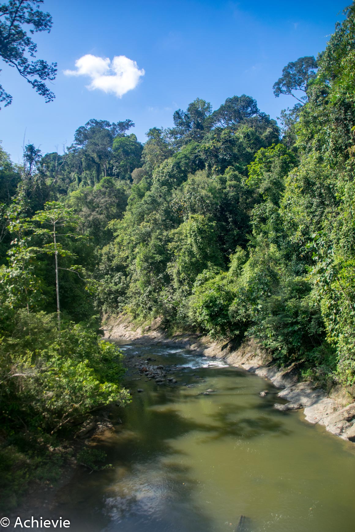 Danum Valley… An Ancient Tropical Forest - Travellingaccountant